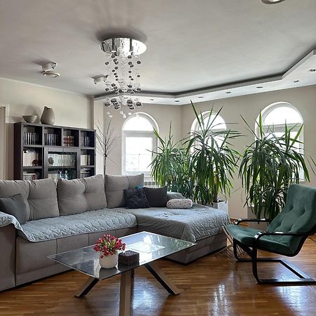Lovely Apartments Free Street Parking ノヴィ・サド エクステリア 写真